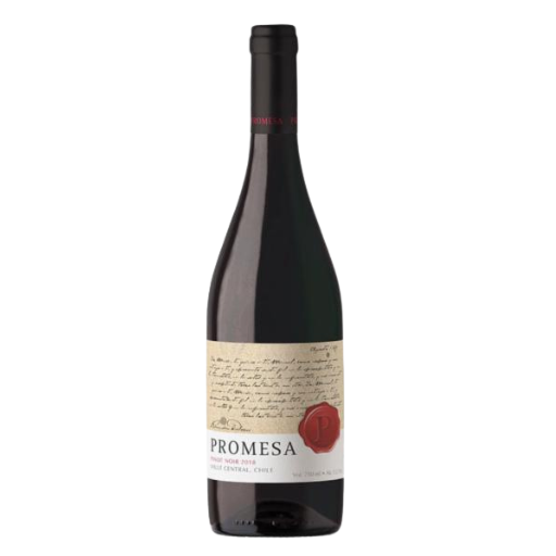 Vinho Tinto Pinot Noir Promesa 750ml (Chile)
