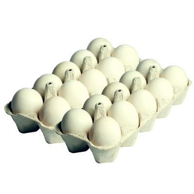 Ovo Branco Grande 20 Unidades