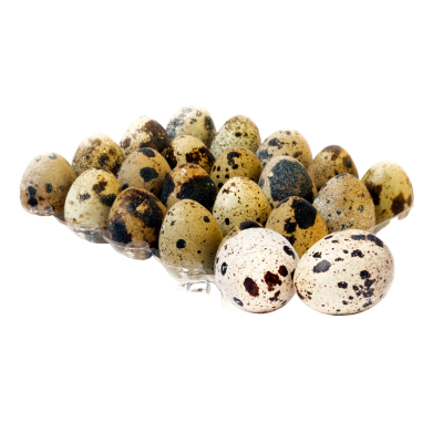 Ovo de Codorna Bandeja com 30 unid.